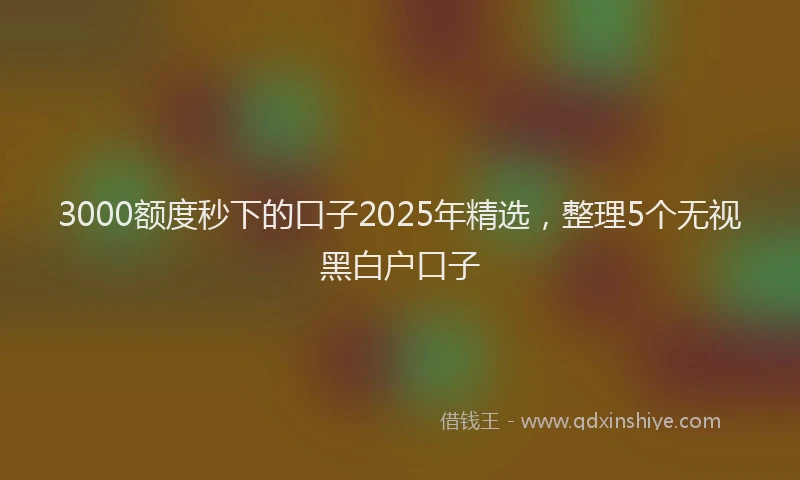 3000额度秒下的口子2025年精选，整理5个无视黑白户口子
