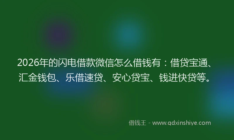 2026年的闪电借款微信怎么借钱有：借贷宝通、汇金钱包、乐借速贷、安心贷宝、钱进快贷等。