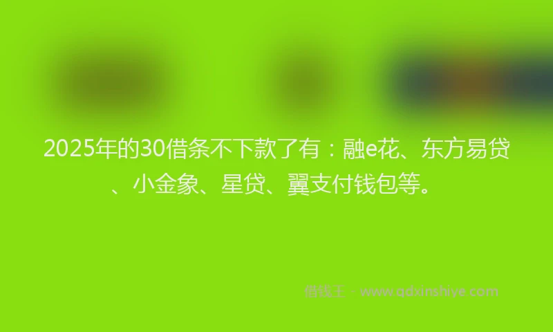 2025年的30借条不下款了有：融e花、东方易贷、小金象、星贷、翼支付钱包等。