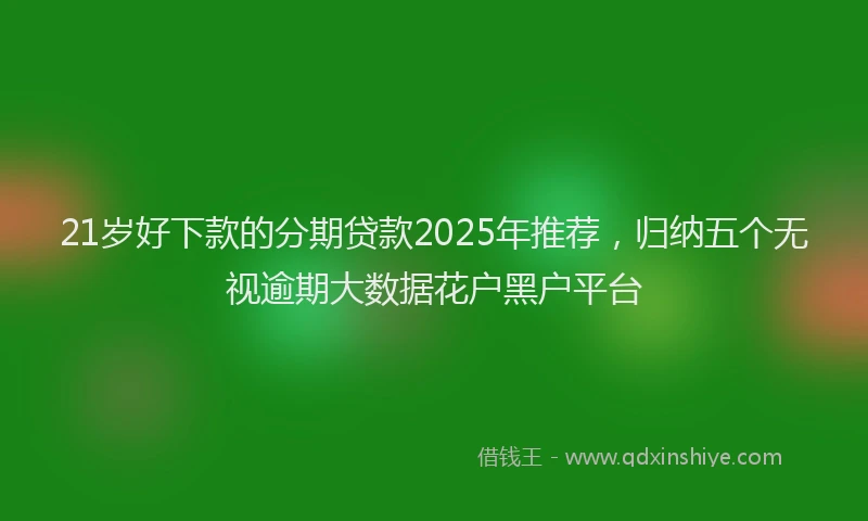 21岁好下款的分期贷款2025年推荐，归纳五个无视逾期大数据花户黑户平台