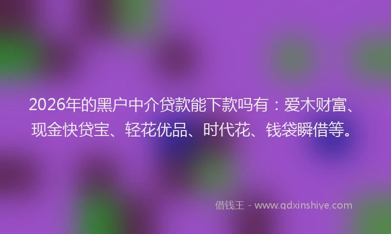 2026年的黑户中介贷款能下款吗有:爱木财富、现金快贷宝、轻花优品、时代花、钱袋瞬借等。