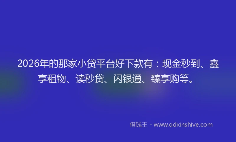 2026年的那家小贷平台好下款有：现金秒到、鑫享租物、读秒贷、闪银通、臻享购等。