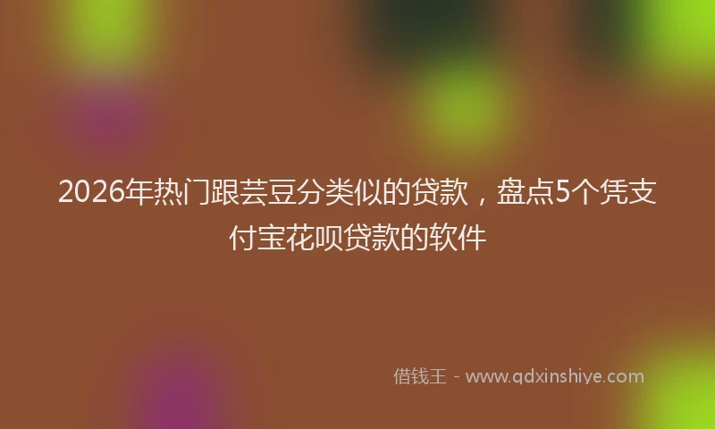 2026年热门跟芸豆分类似的贷款,盘点5个凭支付宝花呗贷款的软件