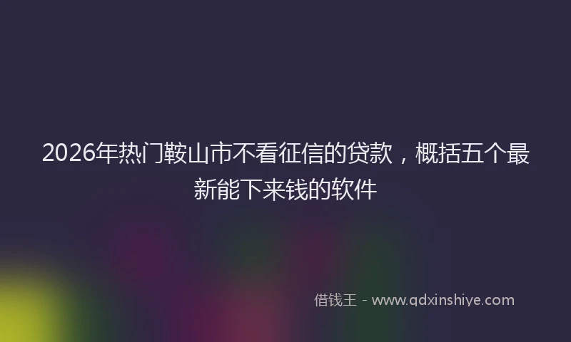 2026年热门鞍山市不看征信的贷款，概括五个最新能下来钱的软件