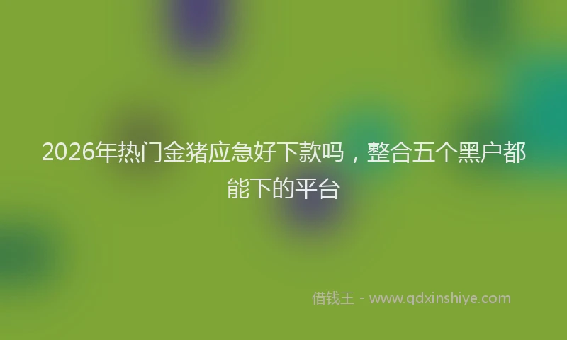 2026年热门金猪应急好下款吗,整合五个黑户都能下的平台