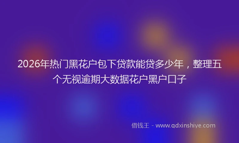 2026年热门黑花户包下贷款能贷多少年，整理五个无视逾期大数据花户黑户口子