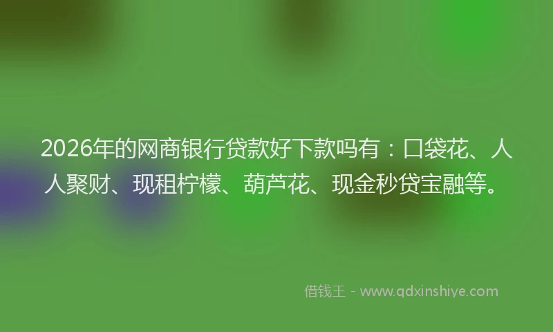 2026年的网商银行贷款好下款吗有:口袋花、人人聚财、现租柠檬、葫芦花、现金秒贷宝融等。