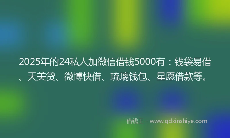 2025年的24私人加微信借钱5000有:钱袋易借、天美贷、微博快借、琉璃钱包、星愿借款等。