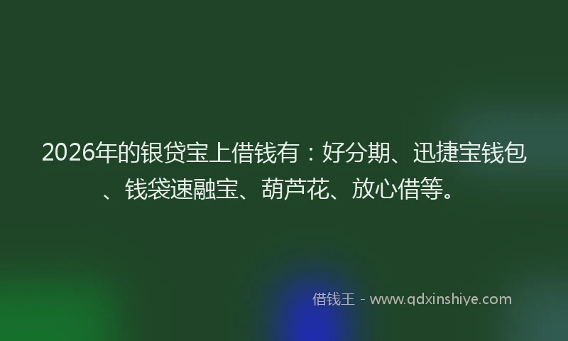 2026年的银贷宝上借钱有：好分期、迅捷宝钱包、钱袋速融宝、葫芦花、放心借等。
