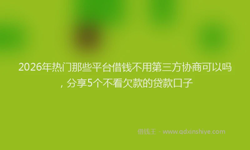 2026年热门那些平台借钱不用第三方协商可以吗，分享5个不看欠款的贷款口子
