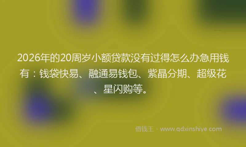 2026年的20周岁小额贷款没有过得怎么办急用钱有：钱袋快易、融通易钱包、紫晶分期、超级花、星闪购等。