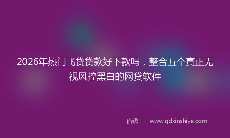 2026年热门飞贷贷款好下款吗，整合五个真正无视风控黑白的网贷软件