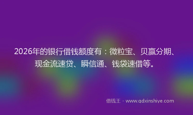 2026年的银行借钱额度有：微粒宝、贝赢分期、现金流速贷、瞬信通、钱袋速借等。