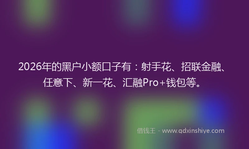 2026年的黑户小额口子有：射手花、招联金融、任意下、新一花、汇融Pro+钱包等。