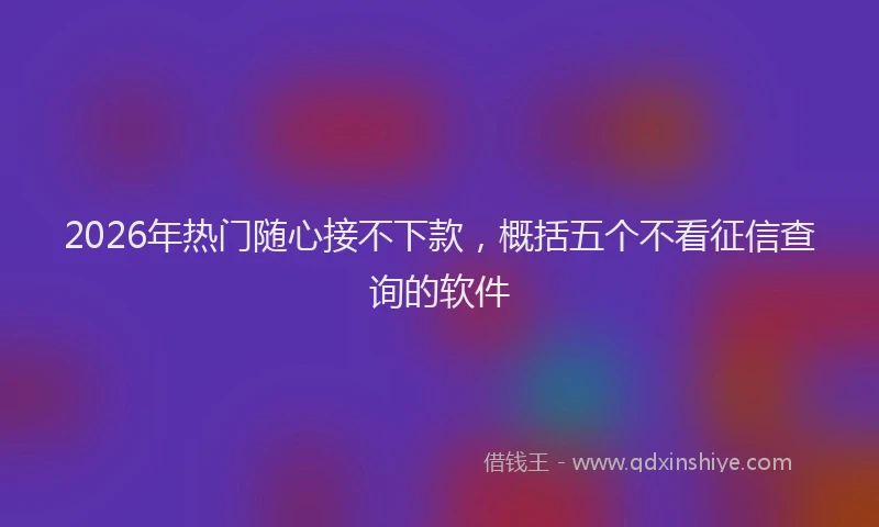 2026年热门随心接不下款，概括五个不看征信查询的软件