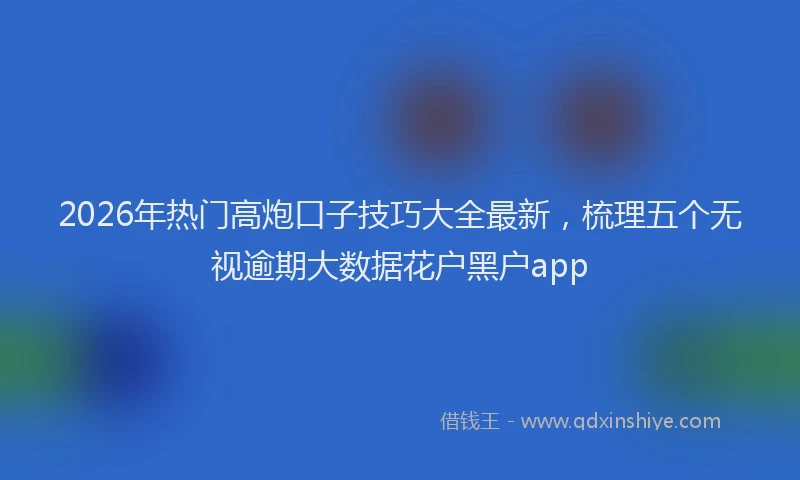 2026年热门高炮口子技巧大全最新，梳理五个无视逾期大数据花户黑户app