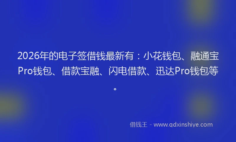 2026年的电子签借钱最新有：小花钱包、融通宝Pro钱包、借款宝融、闪电借款、迅达Pro钱包等。