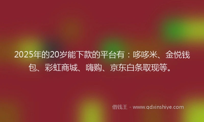 2025年的20岁能下款的平台有：哆哆米、金悦钱包、彩虹商城、嗨购、京东白条取现等。