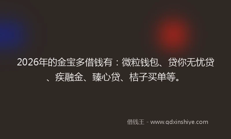 2026年的金宝多借钱有：微粒钱包、贷你无忧贷、疾融金、臻心贷、桔子买单等。