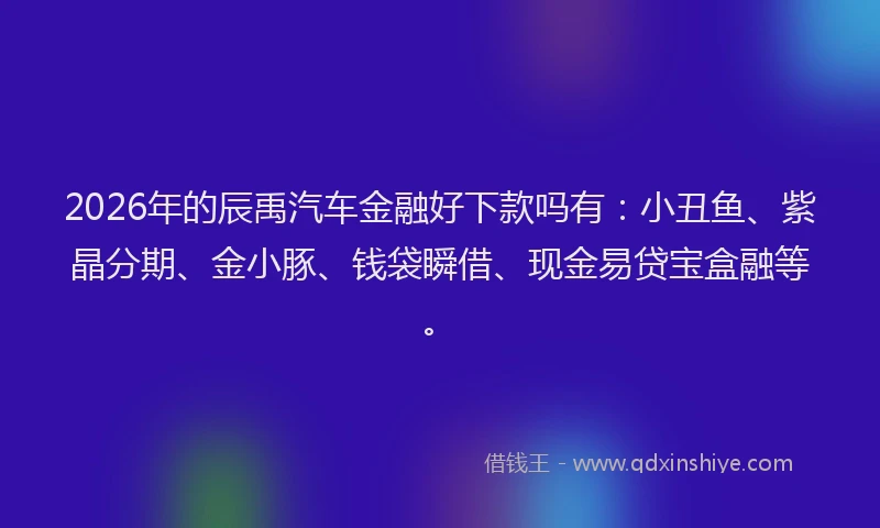 2026年的辰禹汽车金融好下款吗有:小丑鱼、紫晶分期、金小豚、钱袋瞬借、现金易贷宝盒融等。