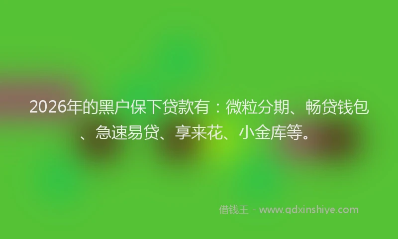 2026年的黑户保下贷款有：微粒分期、畅贷钱包、急速易贷、享来花、小金库等。