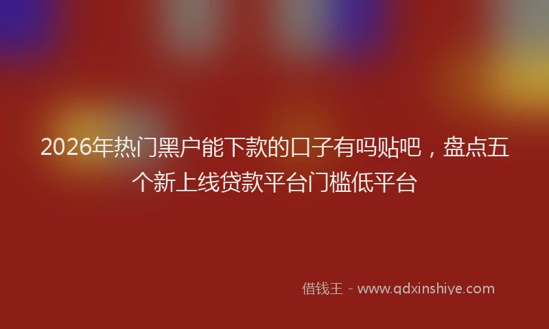 2026年热门黑户能下款的口子有吗贴吧，盘点五个新上线贷款平台门槛低平台