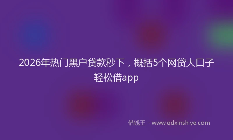2026年热门黑户贷款秒下，概括5个网贷大口子轻松借app