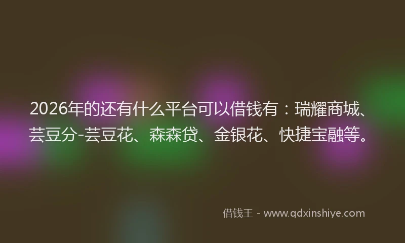 2026年的还有什么平台可以借钱有：瑞耀商城、芸豆分-芸豆花、森森贷、金银花、快捷宝融等。
