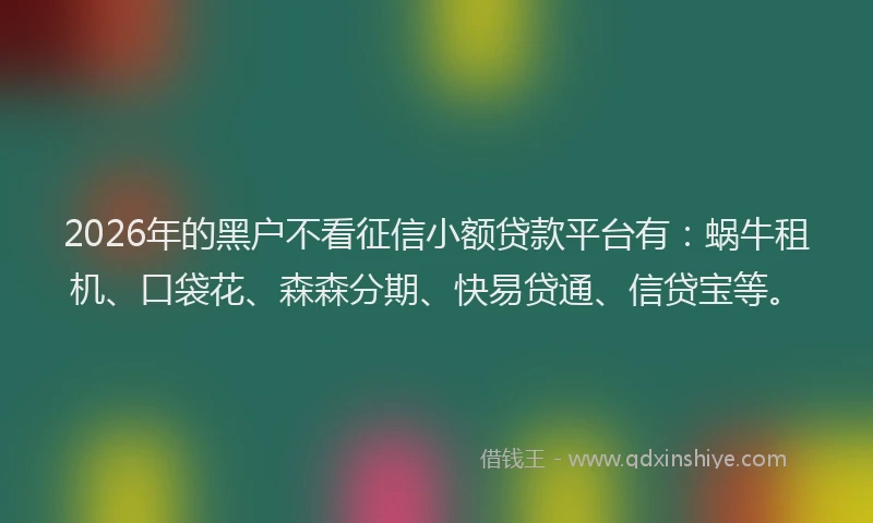 2026年的黑户不看征信小额贷款平台有：蜗牛租机、口袋花、森森分期、快易贷通、信贷宝等。