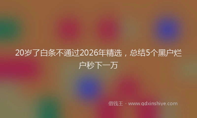 20岁了白条不通过2026年精选，总结5个黑户烂户秒下一万