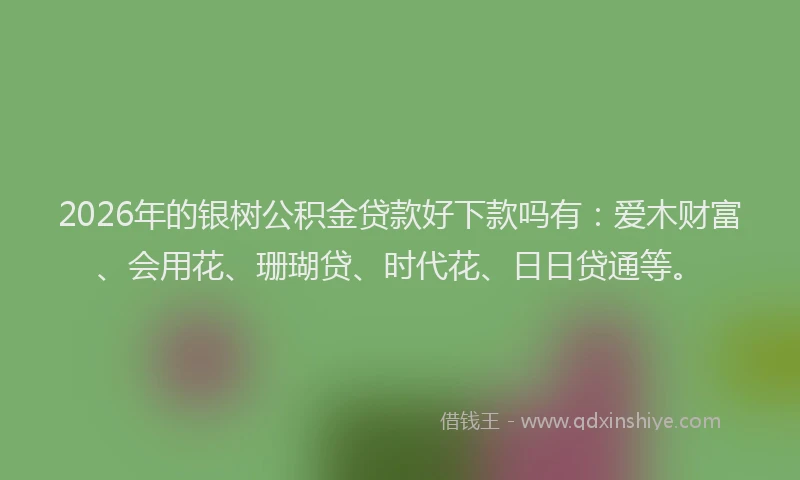 2026年的银树公积金贷款好下款吗有:爱木财富、会用花、珊瑚贷、时代花、日日贷通等。