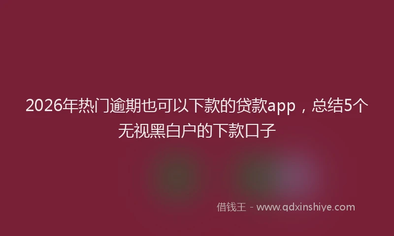 2026年热门逾期也可以下款的贷款app，总结5个无视黑白户的下款口子