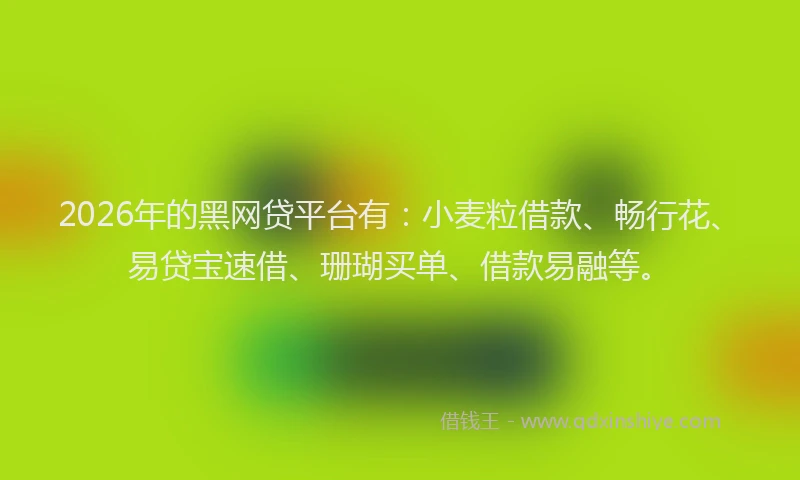 2026年的黑网贷平台有：小麦粒借款、畅行花、易贷宝速借、珊瑚买单、借款易融等。