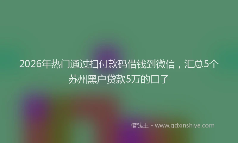 2026年热门通过扫付款码借钱到微信，汇总5个苏州黑户贷款5万的口子