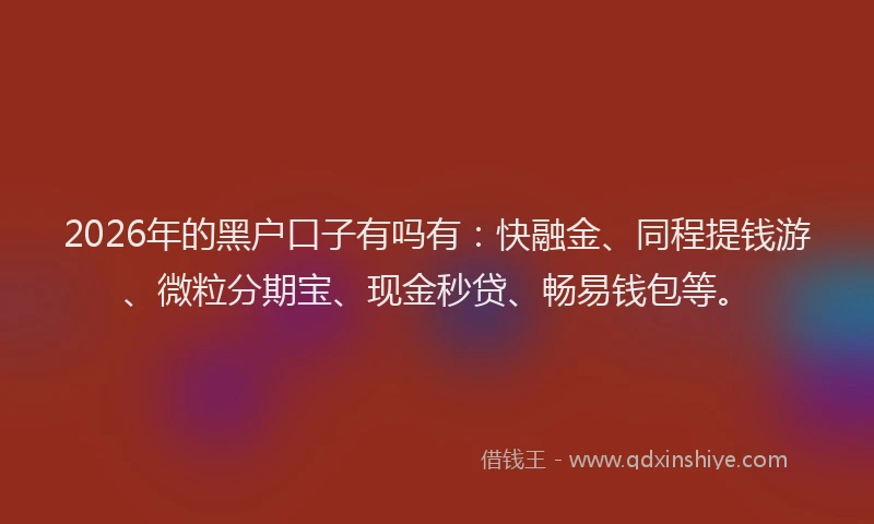 2026年的黑户口子有吗有：快融金、同程提钱游、微粒分期宝、现金秒贷、畅易钱包等。