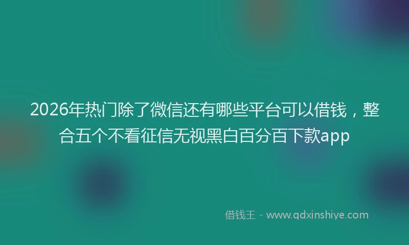 2026年热门除了微信还有哪些平台可以借钱，整合五个不看征信无视黑白百分百下款app