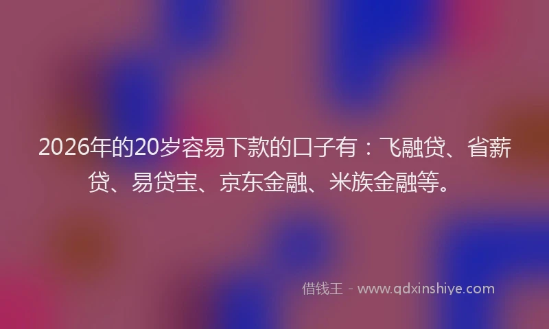 2026年的20岁容易下款的口子有：飞融贷、省薪贷、易贷宝、京东金融、米族金融等。