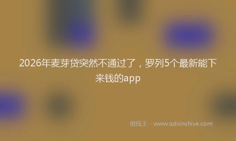 2026年麦芽贷突然不通过了，罗列5个最新能下来钱的app