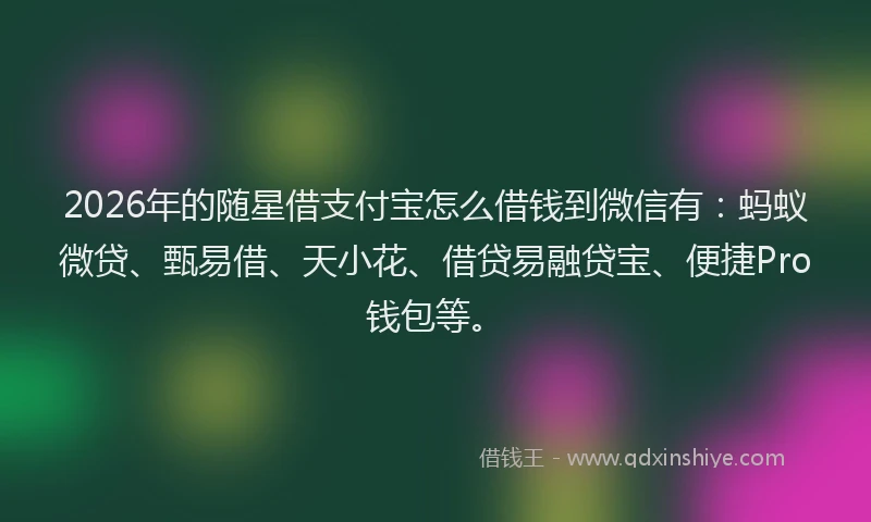 2026年的随星借支付宝怎么借钱到微信有:蚂蚁微贷、甄易借、天小花、借贷易融贷宝、便捷Pro钱包等。