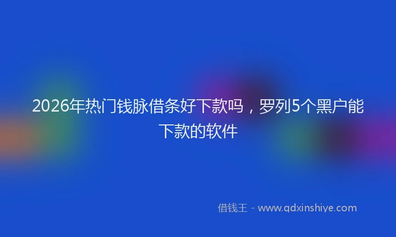 2026年热门钱脉借条好下款吗，罗列5个黑户能下款的软件