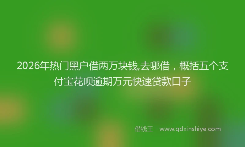 2026年热门黑户借两万块钱,去哪借，概括五个支付宝花呗逾期万元快速贷款口子