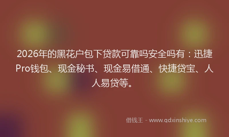 2026年的黑花户包下贷款可靠吗安全吗有：迅捷Pro钱包、现金秘书、现金易借通、快捷贷宝、人人易贷等。