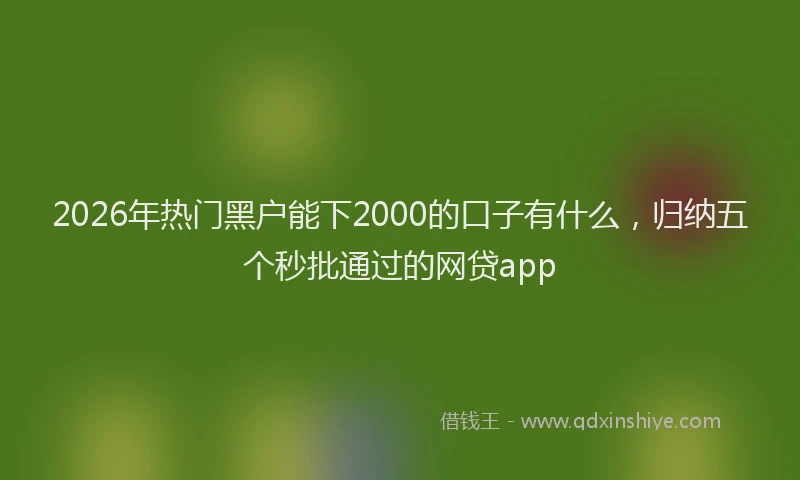 2026年热门黑户能下2000的口子有什么，归纳五个秒批通过的网贷app