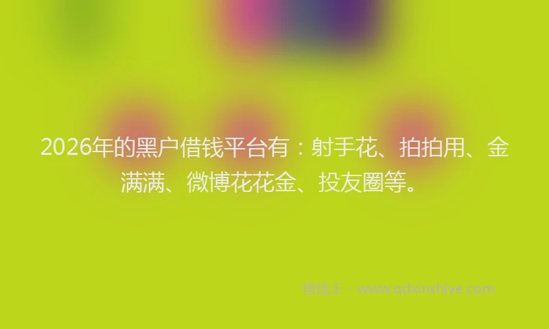 2026年的黑户借钱平台有：射手花、拍拍用、金满满、微博花花金、投友圈等。