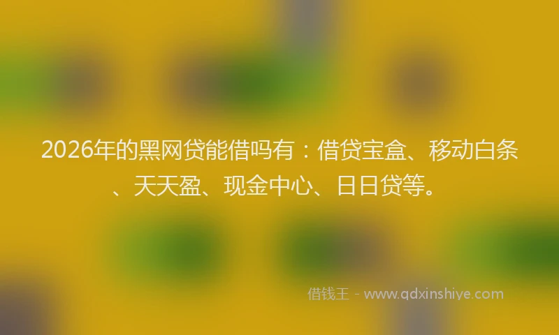 2026年的黑网贷能借吗有：借贷宝盒、移动白条、天天盈、现金中心、日日贷等。
