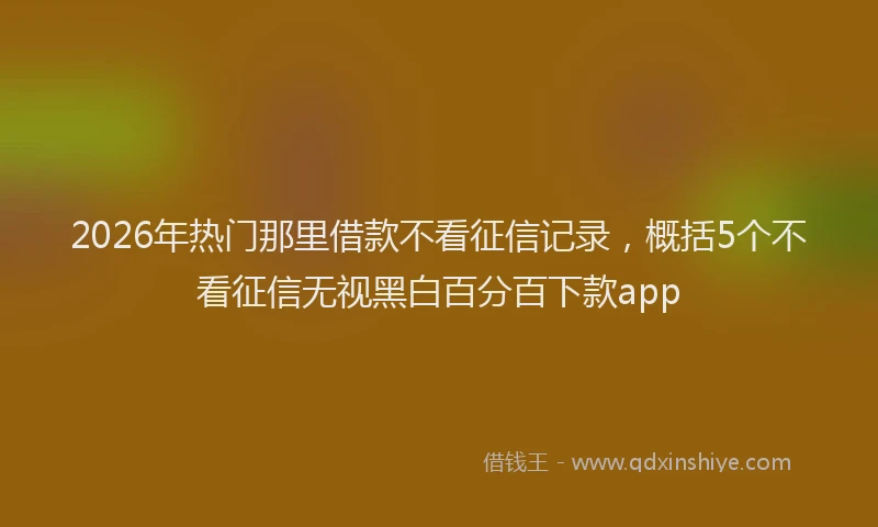 2026年热门那里借款不看征信记录,概括5个不看征信无视黑白百分百下款app