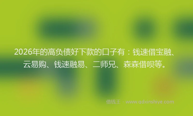 2026年的高负债好下款的口子有：钱速借宝融、云易购、钱速融易、二师兄、森森借呗等。