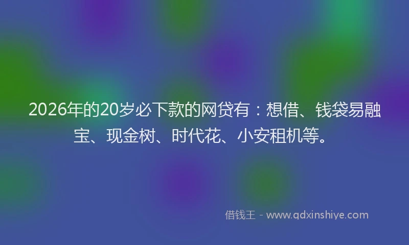 2026年的20岁必下款的网贷有：想借、钱袋易融宝、现金树、时代花、小安租机等。
