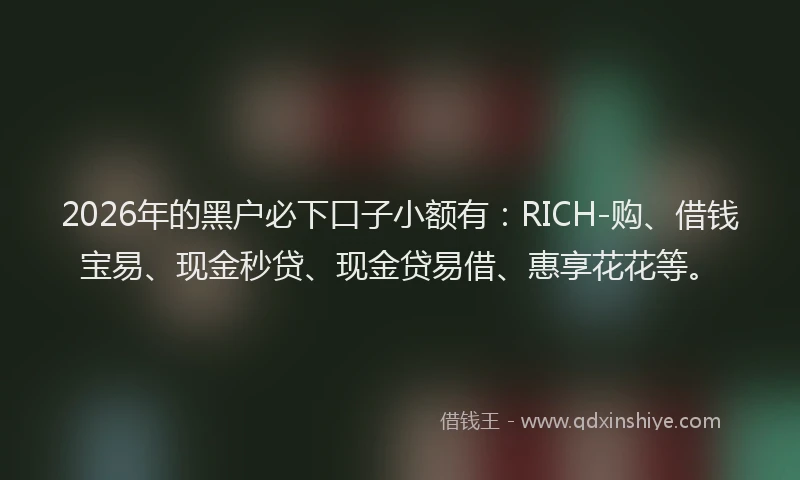 2026年的黑户必下口子小额有：RICH-购、借钱宝易、现金秒贷、现金贷易借、惠享花花等。