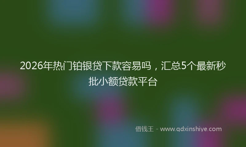 2026年热门铂银贷下款容易吗，汇总5个最新秒批小额贷款平台